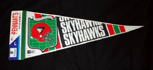 1991WincraftSkyhawkspennantrs.jpg